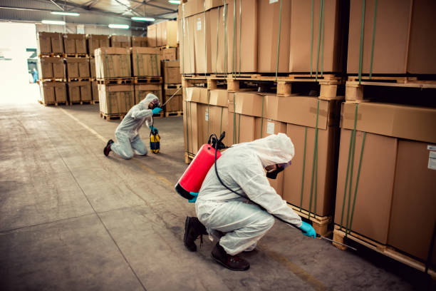 Best Termite Control Services  in Runge, TX