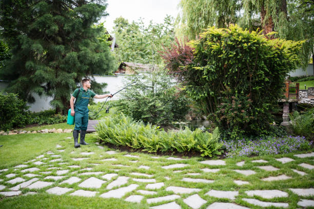 Best Best Pest Control Companies  in Runge, TX