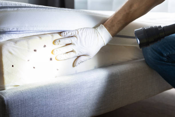 Trusted Runge, TX Pest Control Experts