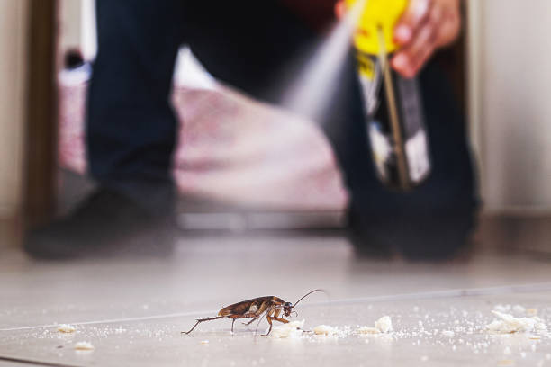 Pest Prevention Services in Runge, TX