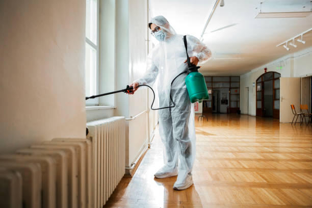 Flea Control Services in Runge, TX